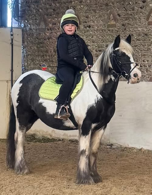 What is Pony Pairing? How do you differ from other agents?